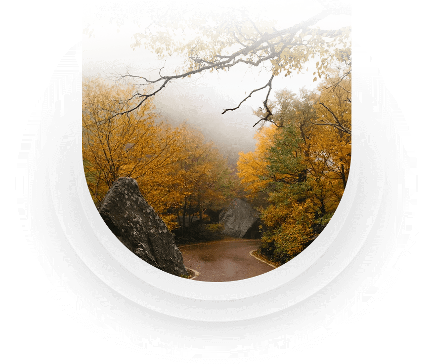 Fall-Foliage